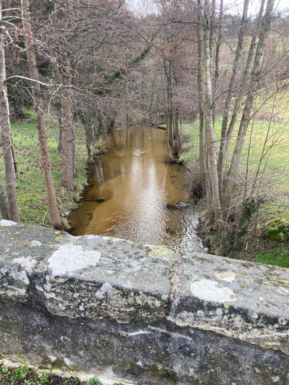 Jolie Maison De Campagne, Compostelle Villa Soleymieux Ngoại thất bức ảnh