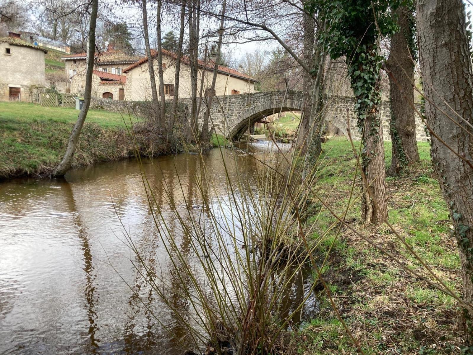 Jolie Maison De Campagne, Compostelle Villa Soleymieux Ngoại thất bức ảnh