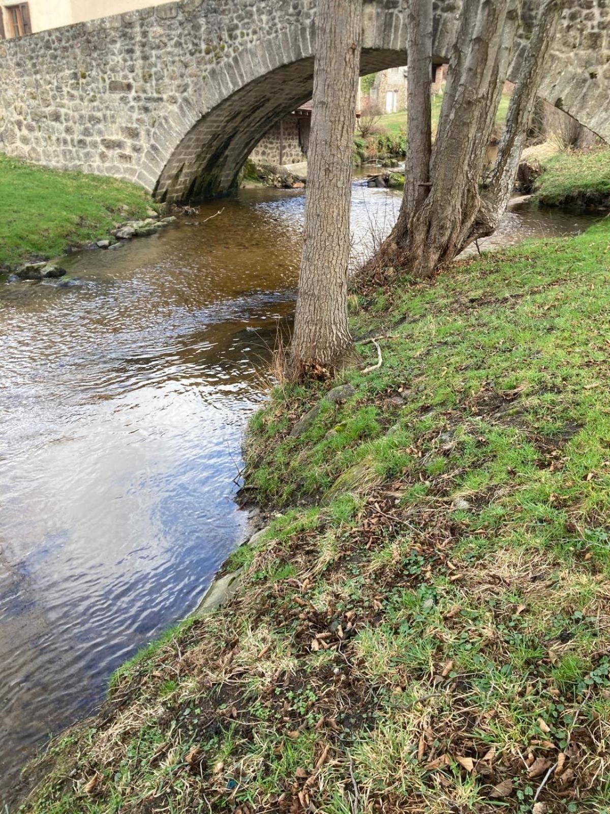 Jolie Maison De Campagne, Compostelle Villa Soleymieux Ngoại thất bức ảnh